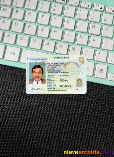 USA Nevada driving license 2021-present photolook